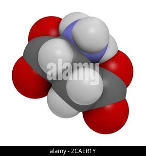 D-Asparaginsäure (D-Aspartat) Aminosäuremolekül. 3D-Rendering. Atome werden als Kugeln mit konventioneller Farbkodierung dargestellt: Wasserstoff (weiß), ca. Stockfoto