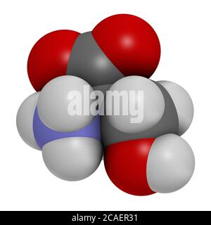 D-Serin-Aminosäuremolekül. Enantiomer von L-Serin. 3D-Rendering. Atome werden als Kugeln mit herkömmlicher Farbkodierung dargestellt: Wasserstoff (weiß), Stockfoto
