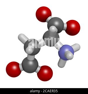 D-Asparaginsäure (D-Aspartat) Aminosäuremolekül. 3D-Rendering. Atome werden als Kugeln mit konventioneller Farbkodierung dargestellt: Wasserstoff (weiß), ca. Stockfoto