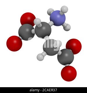 D-Asparaginsäure (D-Aspartat) Aminosäuremolekül. 3D-Rendering. Atome werden als Kugeln mit konventioneller Farbkodierung dargestellt: Wasserstoff (weiß), ca. Stockfoto