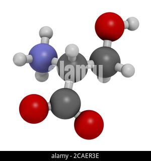 D-Serin-Aminosäuremolekül. Enantiomer von L-Serin. 3D-Rendering. Atome werden als Kugeln mit herkömmlicher Farbkodierung dargestellt: Wasserstoff (weiß), Stockfoto