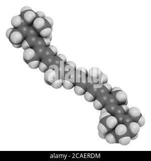 Beta-Carotin Pigmentmolekül. 3D-Rendering. Atome werden als Kugeln mit herkömmlicher Farbkodierung dargestellt: Wasserstoff (weiß), Kohlenstoff (grau). Stockfoto