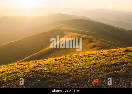 Gelbe Gras zitternd im Wind im Herbst in den Bergen bei Sonnenaufgang. Karpaten, Ukraine. Landschaftsfotografie