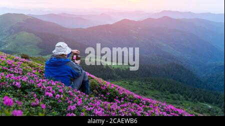 Fotograf fotografiert Rhododendron Blumen bedeckt Berge Wiese im Sommer. Lila Sonnenaufgangslicht leuchtet auf einem Vordergrund. Landschaftsfotografie Stockfoto