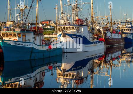 Festgespannte Fischtrawler, Twillingate, Neufundland und Labrador NL, Kanada Stockfoto