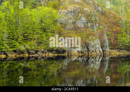 Felsen- und Baumspiegelungen in Teichen am Straßenrand, Hwy 470 , Neufundland und Labrador NL, Kanada Stockfoto