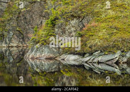 Felsen- und Baumspiegelungen in Teichen am Straßenrand, Hwy 470 , Neufundland und Labrador NL, Kanada Stockfoto