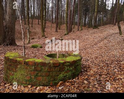 Alte Ziegel Brunnen in einem Kiefernwald im Herbst Stockfoto