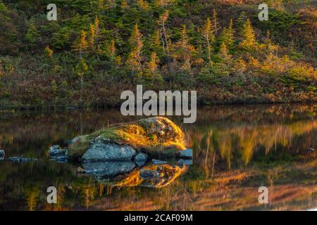 Teiche und baumloses Gelände bei Sonnenaufgang, Hwy 470 in der Nähe von Margaree, Neufundland und Labrador NL, Kanada Stockfoto