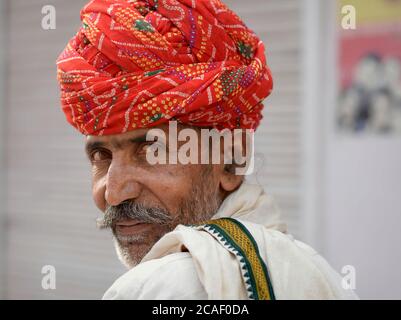 Älterer indischer Rajasthani Mann mit rotem Turban blickt zurück über seine Schulter. Stockfoto