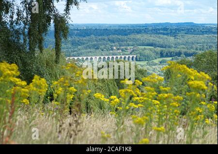 Blick auf das Cefn Mawr Viadukt, das die Chester und Shrewsbury Eisenbahn über den Fluss Dee zwischen Newbridge und Cefn-Bychan transportiert. Stockfoto