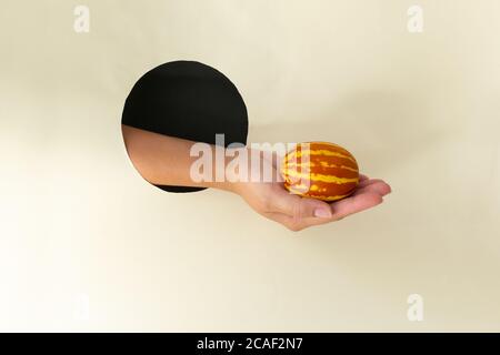 Kleine vietnamesische Melone in der Hand durch rundes Loch in Papier. Miniaturfrucht mit Ananasgeschmack. Speicherplatz kopieren. Horizontale Ausrichtung. Stockfoto