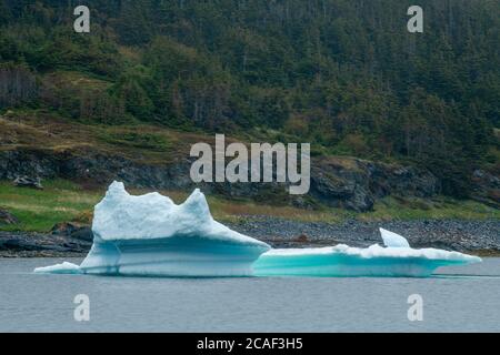 Eisberg in der Bucht, St. Lunaire-Griquet, Neufundland und Labrador NL, Kanada Stockfoto