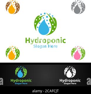 Wasser hydroponic Gärtner Logo mit Green Garden Umwelt oder botanische Landwirtschaft Vektor-Design Stock Vektor