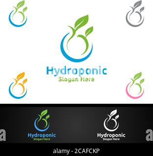 Wasser hydroponic Gärtner Logo mit Green Garden Umwelt oder botanische Landwirtschaft Vektor-Design Stock Vektor