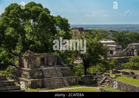 Tempel XIV ist Teil des Kreuzkomplexes in den Ruinen der Maya-Stadt Palenque, Palenque Nationalpark, Chiapas, Mexiko. Dahinter ist der Palast zu Stockfoto