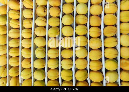 Ananas Aprikosen gleichmäßig in Box mit weißem Papier ausgelegt Teilungen auf dem Bauernmarkt Stockfoto