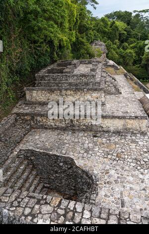 Die Spitze des Tempels der Roten Königin, oder Tempel XIII, in den Ruinen der Maya-Stadt Palenque, Palenque Nationalpark, Chiapas, Mexiko. EIN UNESC Stockfoto