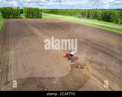 Traktor, der auf den Feldern arbeitet, Luftansicht. Heu auf dem Feld. Der Blick von oben. Traktor erntet trockenes Gras Stockfoto
