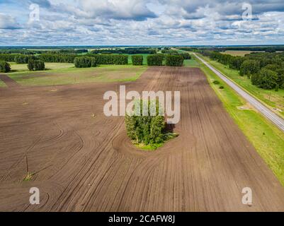 Ein Blick von Oben im Herbst Wald Wälder und einen Bauernhof Feld in den Wald. Die Ernte auf ein Weizenfeld. Russland Altai Region. Draufsicht auf die kleinen Inseln Stockfoto