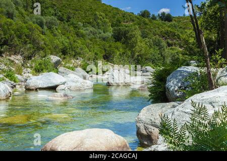 Ein steiniger Bach in den Bergen von Korsika Stockfoto