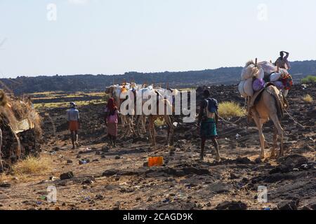 Erta Ale, Äthiopien - Nov 2018: Kamelkarawane, die von Einheimischen aus der Ferne in der Wüste geführt werden Stockfoto