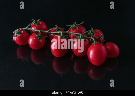 Studio Schuss von reifen Zweig der Kirschtomaten isoliert auf Schwarzer Hintergrund Stockfoto