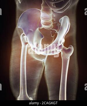 Illiumknochen, Hüftknochen oder Becken. Menschliche Anatomie, Knochen Skelettstruktur Röntgen. 3D-Illustration. Stockfoto