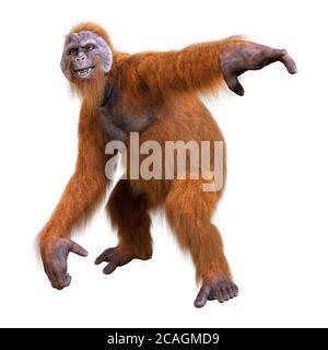 3D-Rendering eines Orang-Utan-Affen auf weißem Hintergrund isoliert Stockfoto