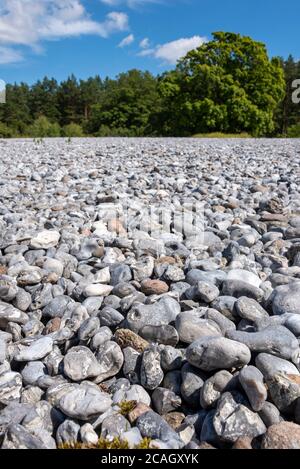 04. August 2020, Mecklenburg-Vorpommern, Prora: Zwischen Mukran und Prora liegen die Rügenfelder, die vor etwa 4000 Jahren durch mehrere Sturmfluten entstanden sind. Die beeindruckenden Steinteppiche werden auch 'Stone Sea' genannt. Foto: Stephan Schulz/dpa-Zentralbild/ZB Stockfoto