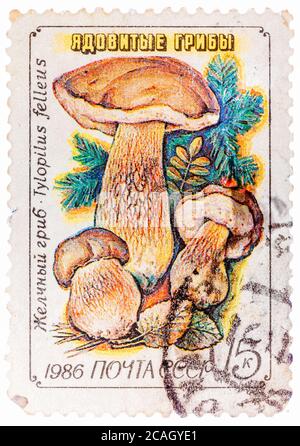 Stempel gedruckt in der UdSSR, Tylopilus feleus, früher Boletus felleus Pilz in freier Wildbahn Stockfoto