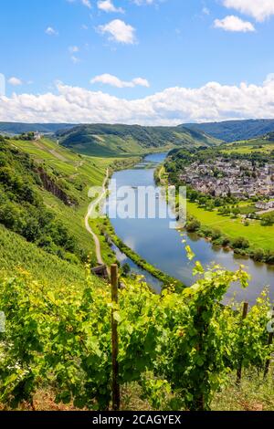 29.06.2020, Puenderich, Rheinland-Pfalz, Deutschland - Marienburg über Weinbergen an der Mosel. 00X200629D016CAROEX.JPG [MODELLVERSION: NEIN, EIGENTUM R Stockfoto