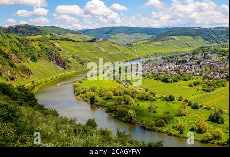 29.06.2020, Puenderich, Rheinland-Pfalz, Deutschland - Marienburg über Weinbergen an der Mosel. 00X200629D024CAROEX.JPG [MODELLVERSION: NEIN, EIGENTUM R Stockfoto