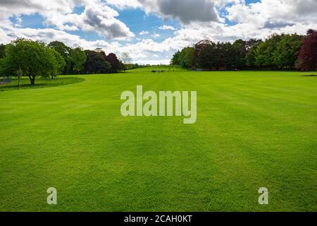 Spektakuläre grüne Wiesen im Kilkenny Castle Park, Irland Stockfoto