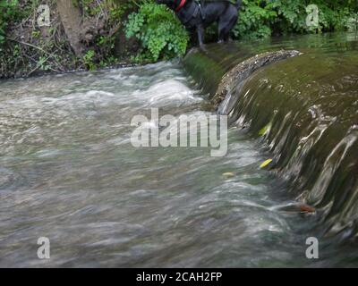 Kleiner Wasserfall in einem Fluss Stockfoto