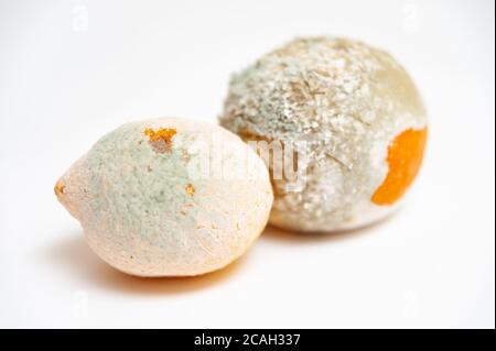 Verwöhnte Orange und Zitrone isoliert auf weißem Hintergrund. Nahaufnahme. Horizontale Aufnahme. Stockfoto