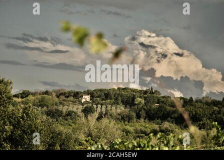 campagna della val d'orcia Stockfoto