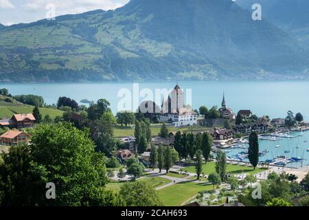 Schloss Spiez und Hafen, Thunersee, Berner Oberland, im Juni Sonnenschein. Stockfoto