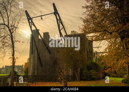 Das große Teleskop auf Schloss Birr Demense an einem bewölkten Herbstmorgen mit einem sanften Sonnenaufgang, herbstlichen Bäumen und dem Schloss aus dem 17. Jahrhundert. Stockfoto