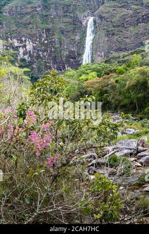 Casca D'anta Wasserfälle - Serra da Canastra Nationalpark - Minas Gerais - Brasilien Stockfoto