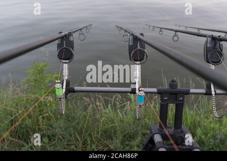 Suche entlang drei Karpfenruten hin zu einem Teich. Karpfen angeln. Stockfoto