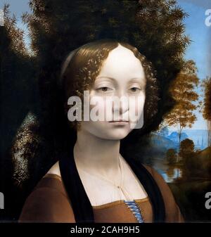 Ginevra de'Benci, Leonardo da Vinci, ca. 1474-1476, National Gallery, Washington DC, USA, Nordamerika Stockfoto