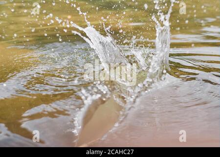 Nahaufnahme von runden Wassertröpfchen über Kreisen auf Der See Stockfoto