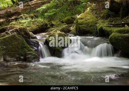 Golitha Falls Kaskaden des Flusses Fowey in Cornwall, Großbritannien Stockfoto