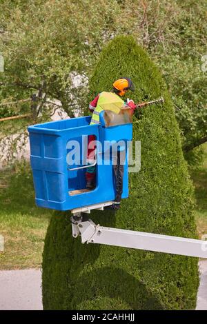 Saisonale Beschneiden von Bäumen mit Baum, Reb und Gartenscheren
