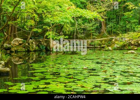 Der japanische Garten des Tenju - ein Tempel in Kyoto, Japan Stockfoto