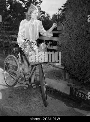 Um 1940er Jahre, junge Dame mit ihrem Fahrrad mit Korb mit Gemüse und Blumen, überprüfen einen Briefkasten auf einem Gartentor, USA. Stockfoto