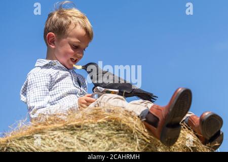 4 Jahre alter Junge mit einem Haustier Dohlen Vogel, Großbritannien Stockfoto