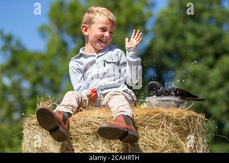 4 Jahre alter Junge mit einem Haustier Dohlen Vogel, Großbritannien Stockfoto