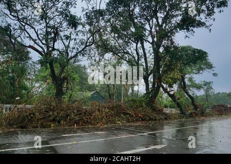 Bäume neben Kalkutta Straße mit dunkles Himmel im Hintergrund, Monsunbild von Kalkutta, Westbengalen, Indien. Stockfoto